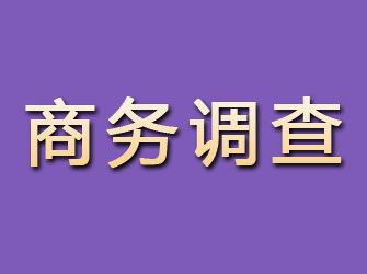 海林商务调查